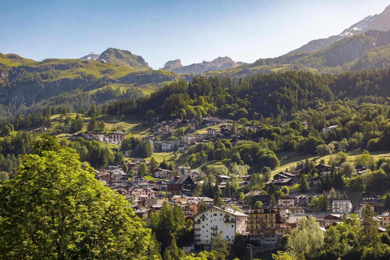 Hellochalet - Maison Rue De La Neige - Family Ski Holiday Walking Distance Skirun And Gondola Valtournenche Exteriör bild